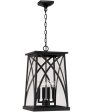 Marshall 4-Light Outdoor Hanging-Lantern Rain or Shine - Black Fashion