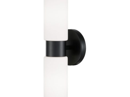 Theo 2-Light Sconce Matte Black For Sale