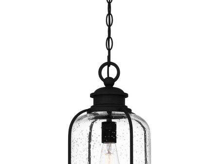 Bowles Large 1-light Outdoor Pendant Light Earth Black Sale