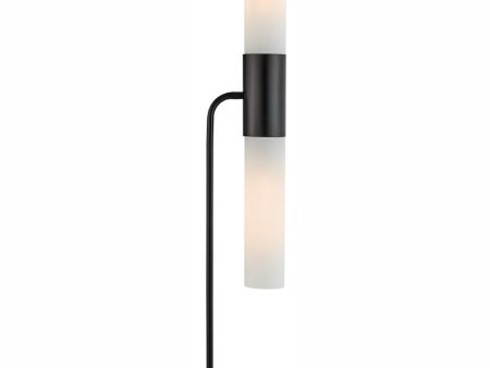 Dulance 2-Light 2-Light Floor Lamp Black Frost Glass Shade Cheap