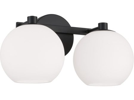 Ansley 2-Light Vanity Matte Black For Cheap