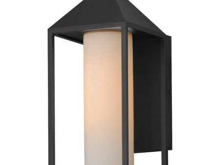 Aldous 1-Light Large Outdoor Sconce Black Fashion