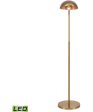 Alda 53.5   High 1-Light Floor Lamp - Aged Brass - Includes LED Bulb For Cheap