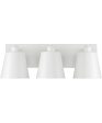 Alden 3-Light Vanity Matte White Fashion