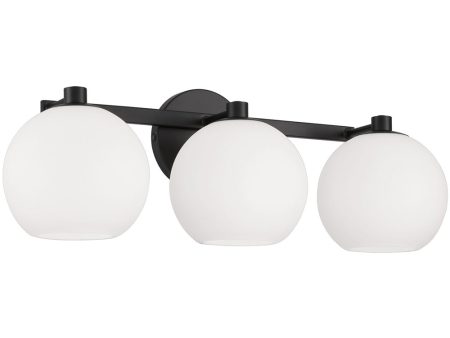 Ansley 3-Light Vanity Matte Black Sale