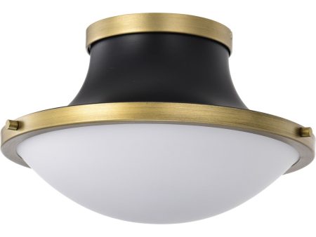 Lafayette 1-Light Close-to-Ceiling Matte Black For Cheap