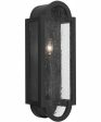 Monroe 1-Light Wall Mount Rain or Shine Black For Cheap