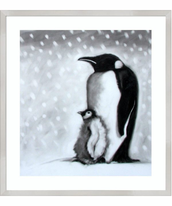 Father and Son Penguins by Paul Powis Wood Framed Wall Art Print (23  W x 25  H), Svelte Silver Frame For Discount