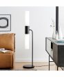 Dulance 2-Light 2-Light Floor Lamp Black Frost Glass Shade Cheap