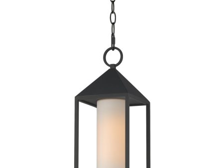 Aldous 1-Light Outdoor Pendant Black Cheap