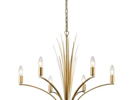 Biscayne Bay 26   Wide 6-Light Chandelier - Champagne Gold Supply