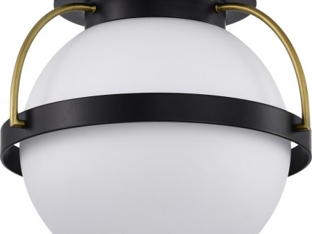 Lakeshore 1-Light Close-to-Ceiling Matte Black Sale