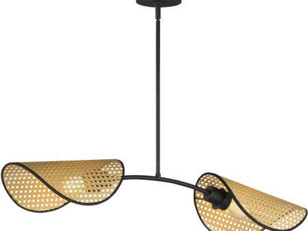 Bonnet 2-Light Chandelier Black Discount