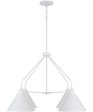 Alden 4-Light Chandelier Matte White Sale