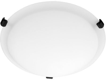 2-light Ceiling Flush Mount Matte Black Cheap