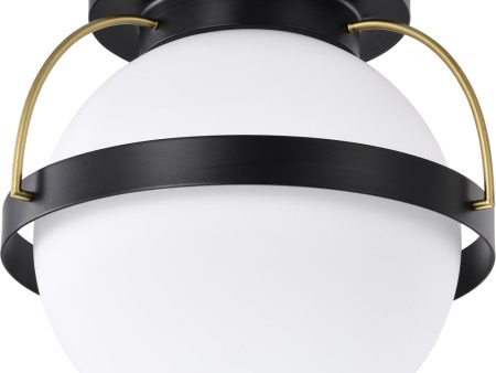 Lakeshore 1-Light Close-to-Ceiling Matte Black Online