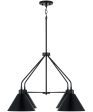 Alden 4-Light Chandelier Matte Black Cheap