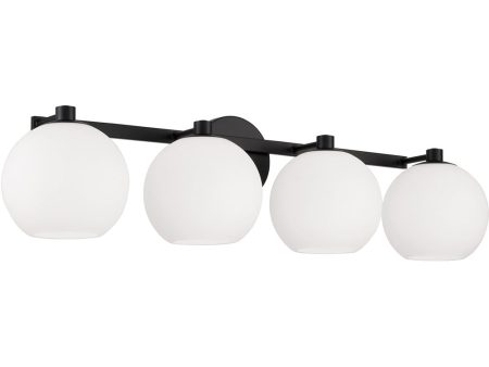 Ansley 4-Light Vanity Matte Black Fashion