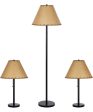 Catalina Lodge Cabin 3-Piece Floor and Table Lamp Combo Set, Rustic Bronze Metal Finish For Cheap