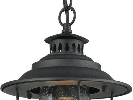 8 W San Mateo 1-Light Outdoor Pendant Textured Matte Black Clear Seedy Glass Fashion