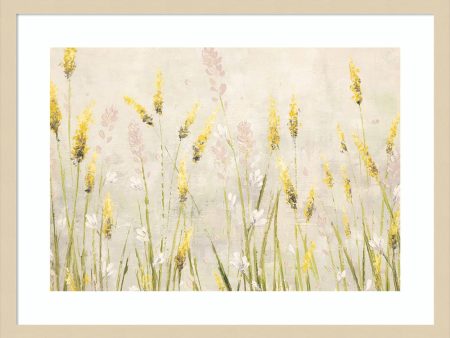 Actaea Simplex Flowers by Emma Coghlan Wood Framed Wall Art Print (25  W x 19  H), Svelte Natural Frame Online