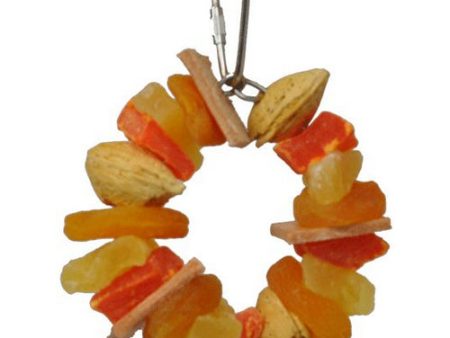 AE Cage Company Happy Beaks Fruit and Nut Ring Jr Tropical Delight 1 count by A&E Cage Company Online now